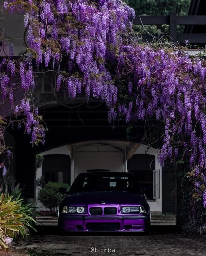 Bmw E30 Car Photo HD